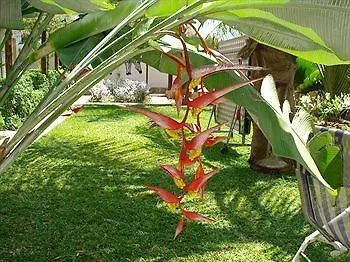Buziga Shelter Lodge Kampala